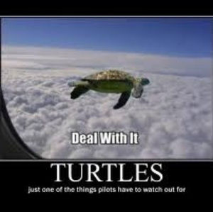 Meet your Posher, Charles